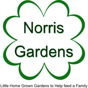 Norris Gardens Logo